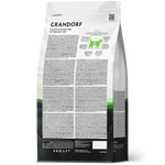 GDV Cat Renal back